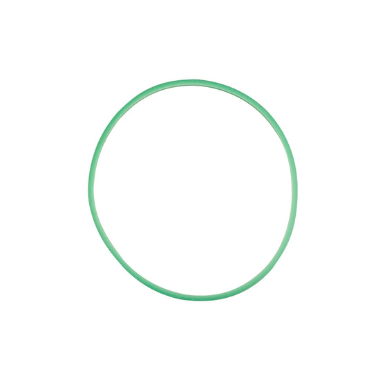 Autoclave Gasket WOSON - Green