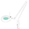 Magnifying Lamp S5 with Screw Clamp - White