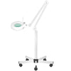 Magnifying Lamp S5 - White