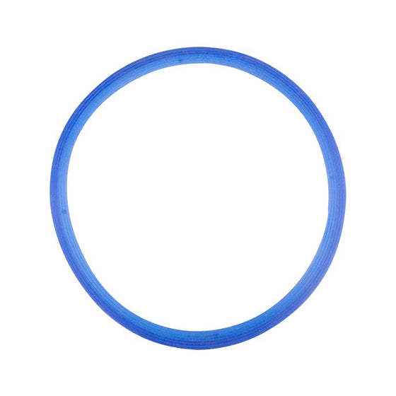 Autoclave Door Gasket LAFOMED 8 L