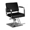 Hairdressing Chair Hair System HS202 - Black