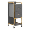 Salon Trolley Gabbiano Solo - Grey and Gold