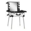 Make-up Case Mobile Station T-27 with Illuminated Mirror - Silver