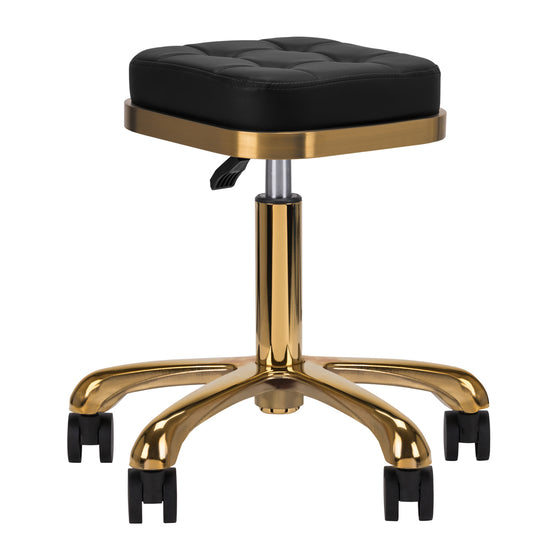 Salon Stool M-1645 - Gold and Black