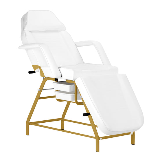 Treatment Chair 557G with Trays - Gold and White