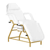 Treatment Chair 557G with Trays - Gold and White