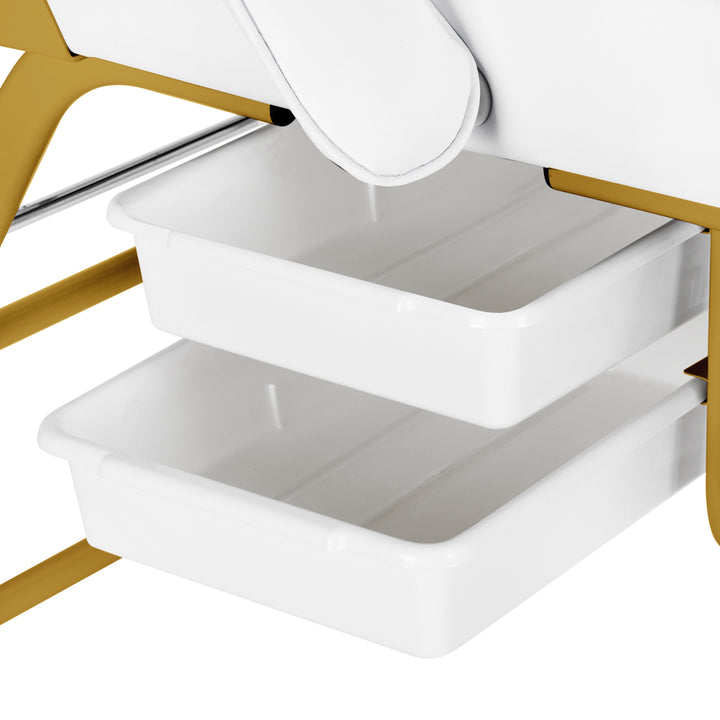 Behandelstoel 557G met Trays Goud-Wit - afbeelding 9