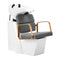 Backwash Unit Gabbiano Porto - Gold and Grey