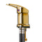 Backwash Unit Tap Gabbiano - Gold