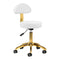 Salon Stool AM-304G - Gold and White