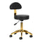 Salon Stool AM-304G - Gold and Black