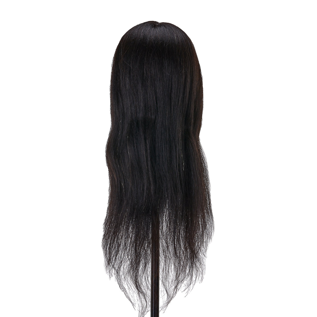 Kappershoofd Gabbiano WZ1 Echt Haar 42 cm Zwart - afbeelding 4