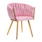 Salon Chair 4Rico QS-GW06G - Pink
