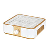 Nail Dust Collector Momo P30 60 W - Gold