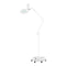 Magnifying Lamp Elegante 6031 with Stand - White