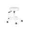Salon Stool AM-303-2 - White