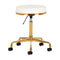 Salon Stool H4 - Gold and White