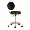 Salon Stool H5 - Gold and Black