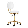 Salon Stool H5 - Gold and White