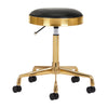 Salon Stool H7 - Gold & Black