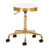 Salon Stool H7 - Gold and White